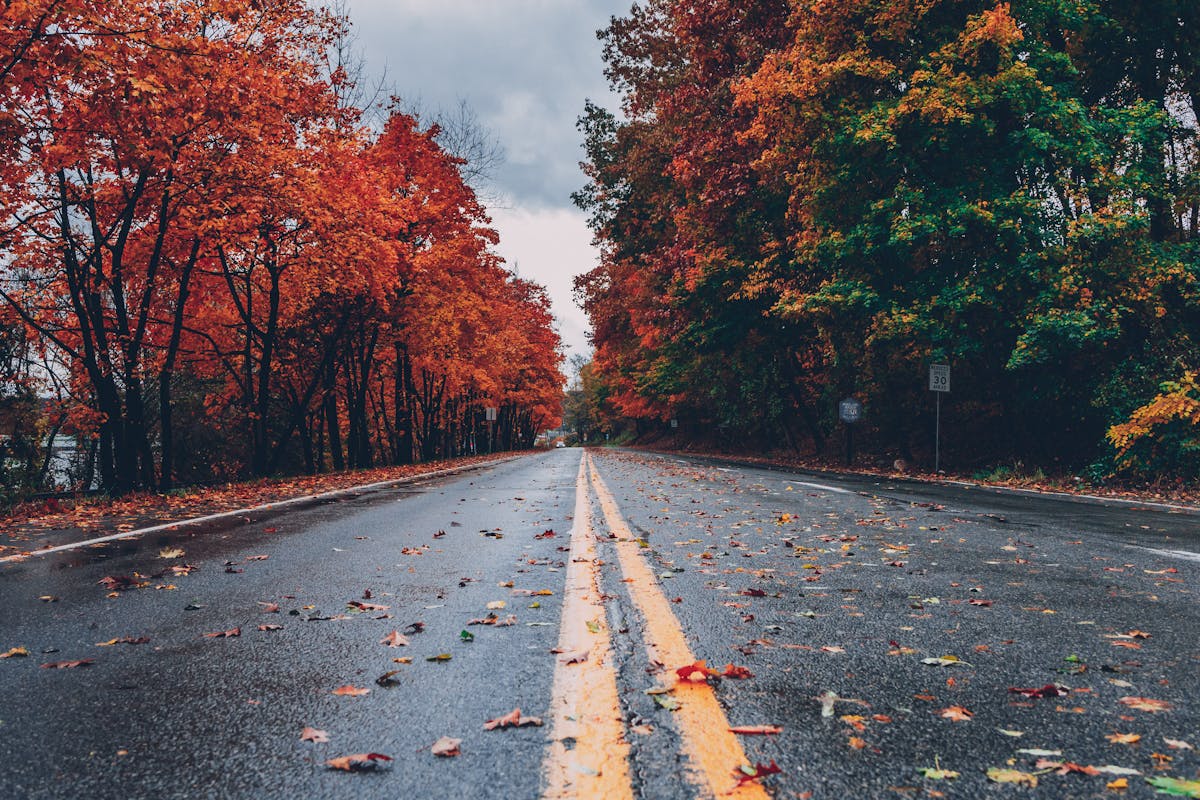 Open road, the work SelectDrive does every day