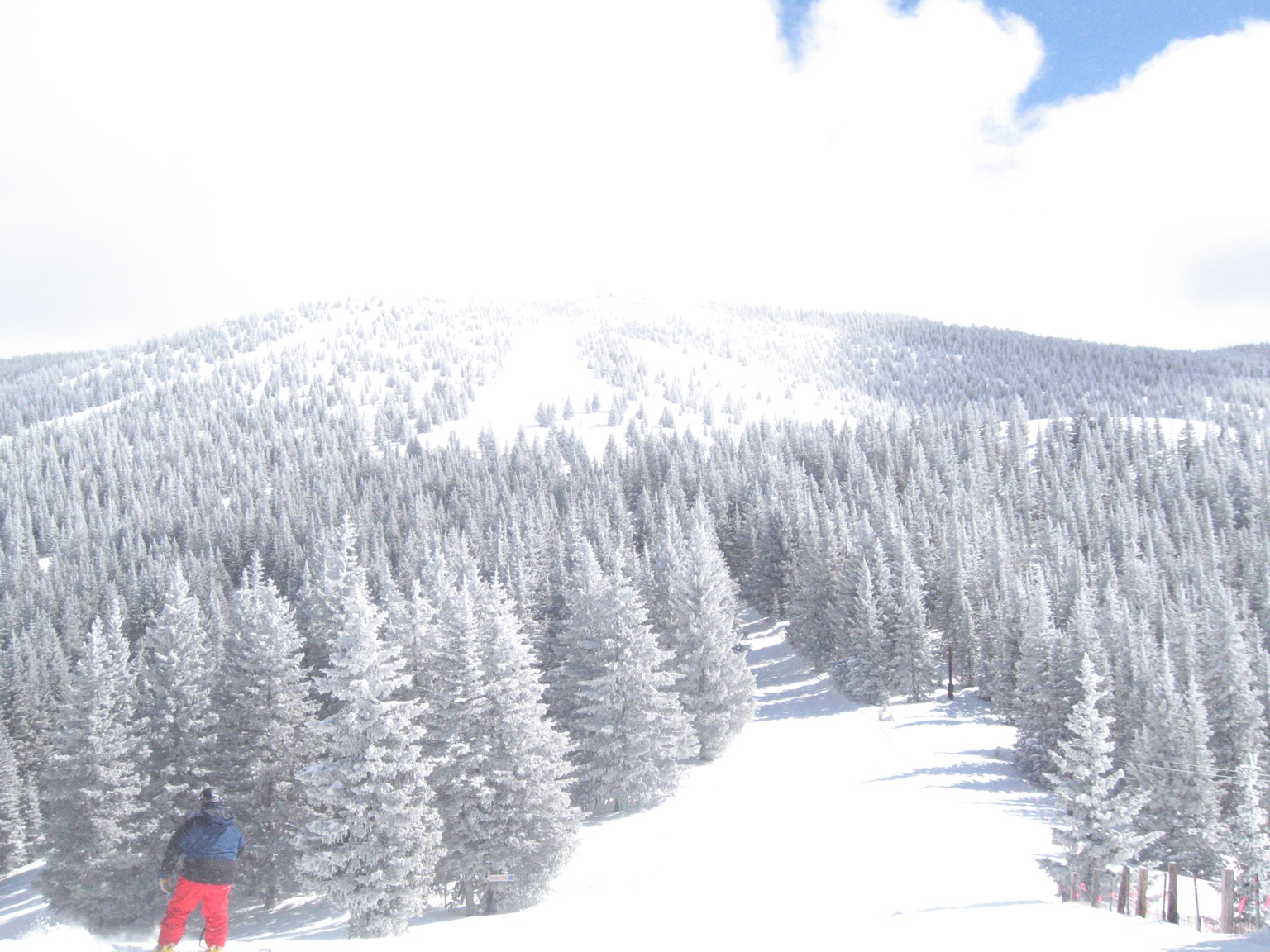 Snow-covered mountain and trees